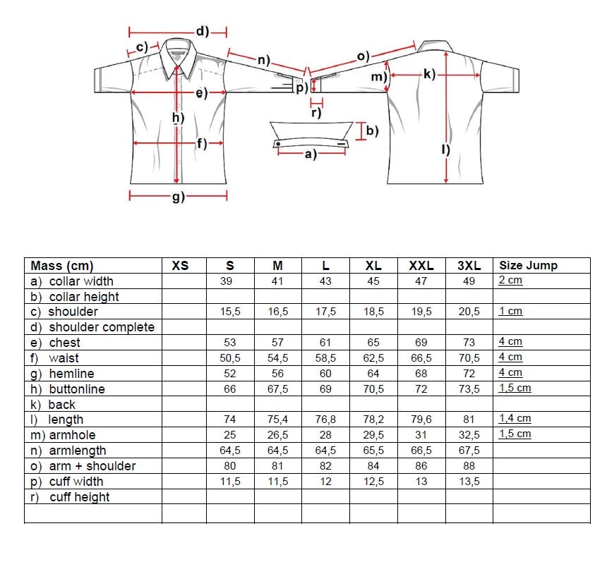 Barney Men's Western Shirt