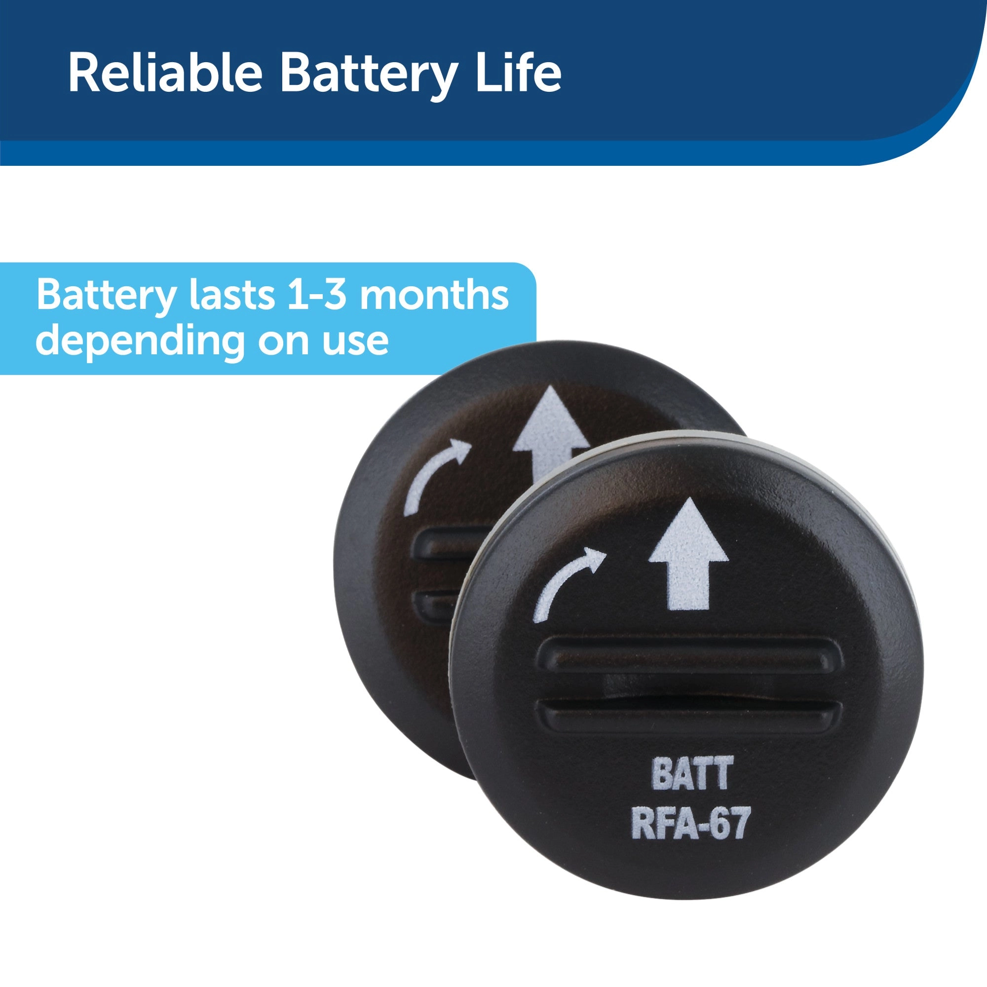 PetSafe® 6 Volt Battery, 2-Pack