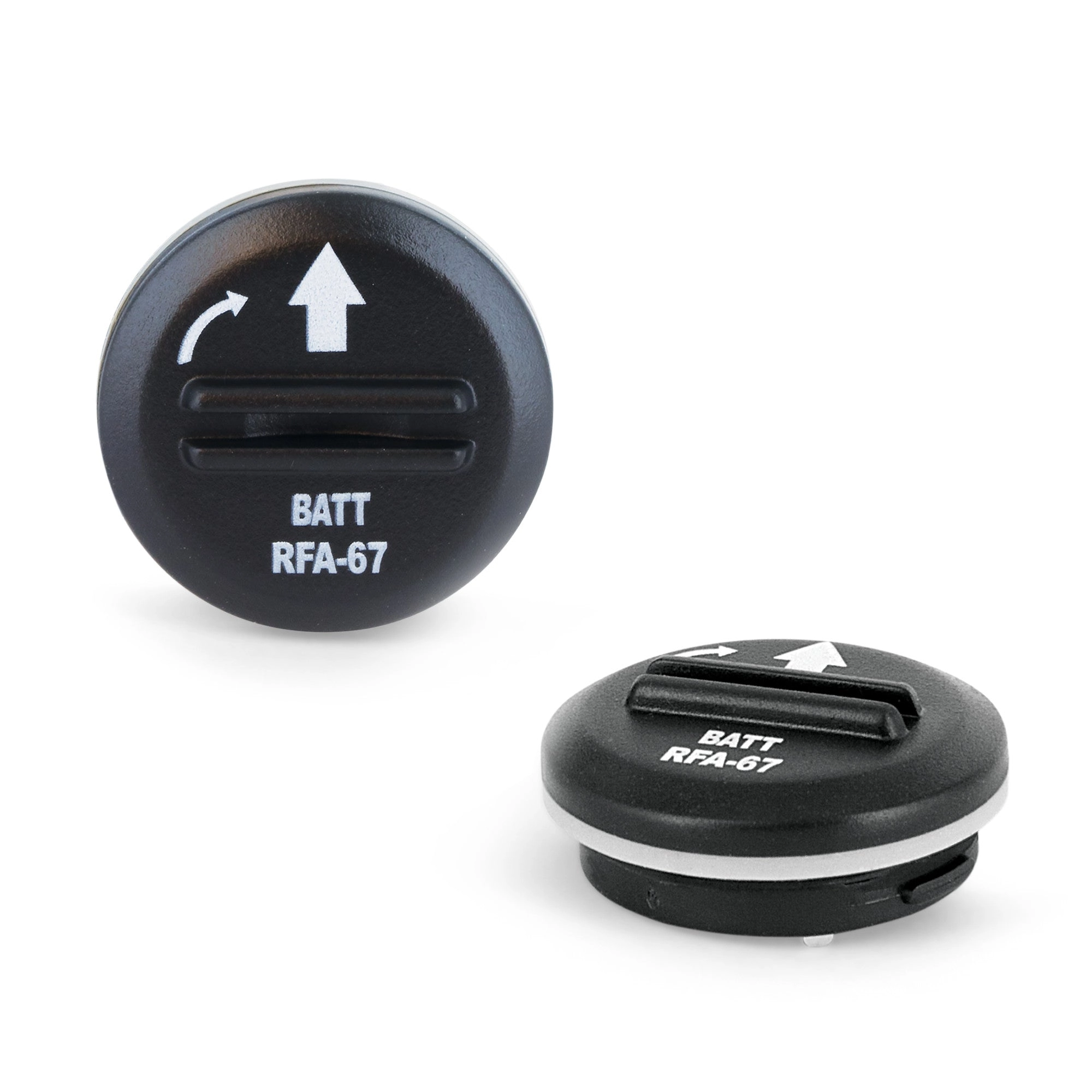 PetSafe® 6 Volt Battery, 2-Pack