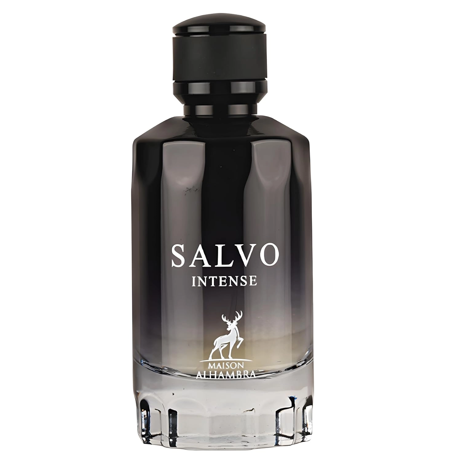 Salvo Intense Cologne