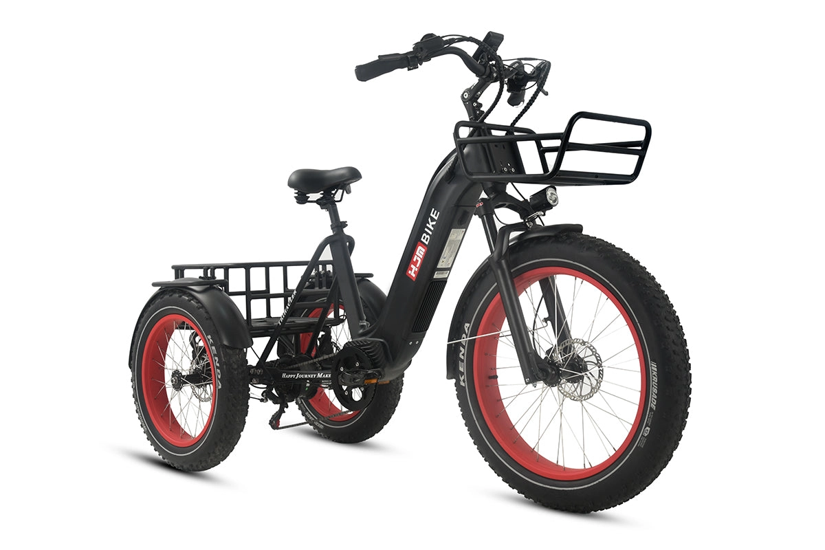 TriHauler Pro Cargo 1000W Rear-Drive Fat Tire Etrike (Fully Assembled)